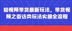 短视频带货最新玩法，带货视频之街访类玩法实操全流程_网创资源库