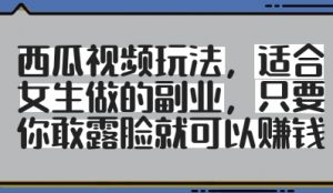 西瓜视频玩法，适合女生做的副业，只要你敢露脸就有收益_网创资源库