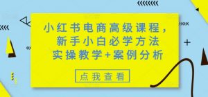 小红书电商高级课程，新手小白必学方法，实操教学+案例分析_网创资源库