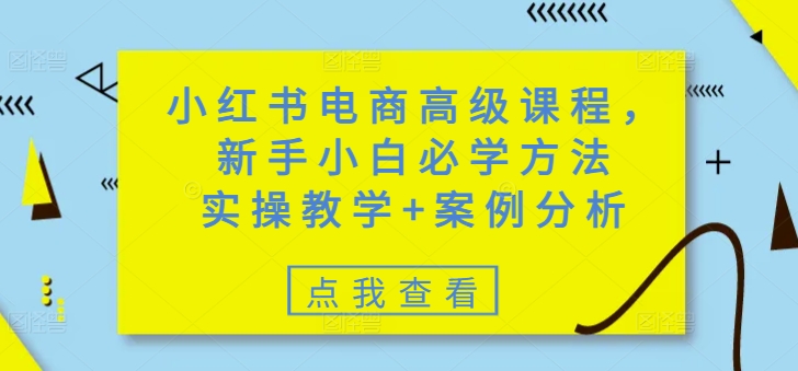 小红书电商高级课程，新手小白必学方法，实操教学+案例分析_网创资源库