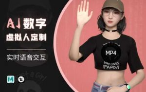 Ai数字人虚拟(智能体)实时语音交互特训营，​自行定制超写实角色AI数字人交互技术_网创资源库