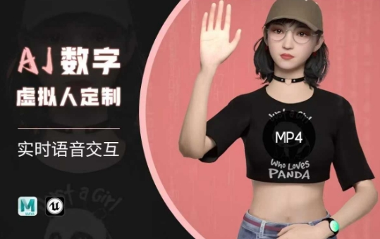 Ai数字人虚拟(智能体)实时语音交互特训营，​自行定制超写实角色AI数字人交互技术_网创资源库