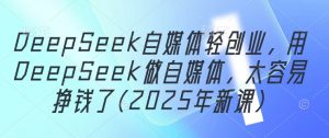 DeepSeek自媒体轻创业，用DeepSeek做自媒体，太容易挣钱了(2025年新课)_网创资源库