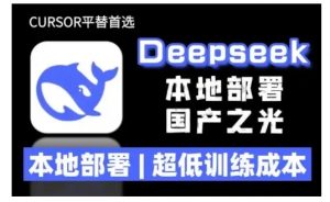 2025年deepseek R1 大型模型本地安装部署(文件+教程)本地部署，超低训练成本_网创资源库