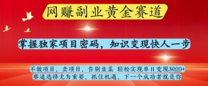 网创副业黄全赛道，掌握独家项目密码，知识变现快人一步，告别韭菜轻松实现单日变现1k+【揭秘】_网创资源库