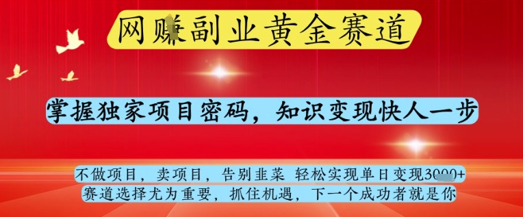 网创副业黄全赛道，掌握独家项目密码，知识变现快人一步，告别韭菜轻松实现单日变现1k+【揭秘】_网创资源库