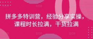 拼多多特训营，经验分享实操，课程时长拉满，干货拉满(更新25年4月)_网创资源库