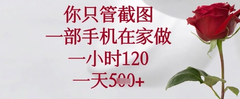 你只管截图，一部手机在家可以做，一小时120.一天5张+【揭秘】_网创资源库