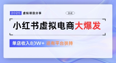 小红书虚拟电商项目，平台大力免费流量扶持，低门槛1拖3玩法_网创资源库