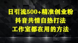 日引流500+精准创业粉，抖音共情自热打法，工作室都在用的方法_网创资源库