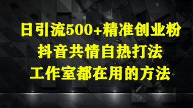 日引流500+精准创业粉，抖音共情自热打法，工作室都在用的方法_网创资源库