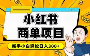 小红书千粉商单，稳定快速变现项目，实现月入6-8k并不是很难_网创资源库