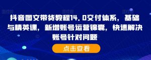 抖音图文带货教程14.0交付体系，基础与精英课，新增账号运营锦囊，快速解决账号针对问题_网创资源库
