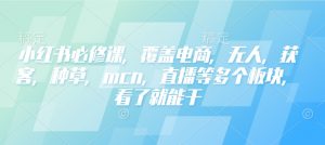 小红书必修课，覆盖电商，无人，获客，种草，mcn，直播等多个板块，看了就能干_网创资源库
