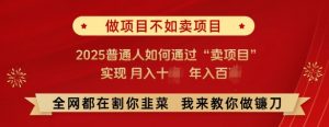 必看，做项目不如卖项目，2025普通人如何通过“卖项目”实现月入十个，年入百个_网创资源库