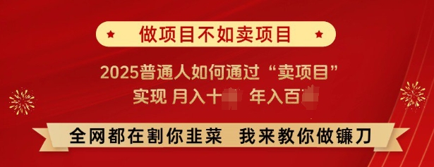 必看，做项目不如卖项目，2025普通人如何通过“卖项目”实现月入十个，年入百个_网创资源库