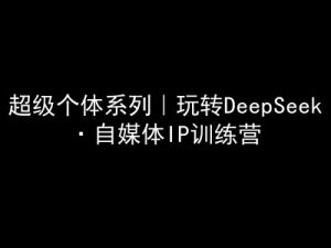 超级个体系列，玩转DeepSeek·自媒体IP训练营，deepseek教程_网创资源库