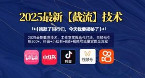 2025最新截流技术，工作室实操迭代打法，日轻松引粉300+，抖音+小红书+B站+视频号流量实操全流程_网创资源库
