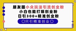 朋友圈小众玩法引流创业粉，小白也能打爆创业粉，日引300+精准创业粉【揭秘】_网创资源库