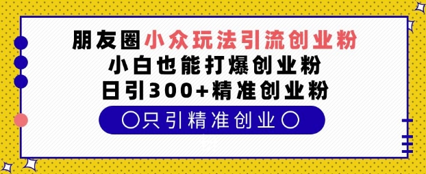 朋友圈小众玩法引流创业粉，小白也能打爆创业粉，日引300+精准创业粉【揭秘】_网创资源库
