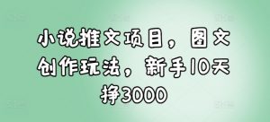 小说推文项目，图文创作玩法，新手10天挣3000_网创资源库