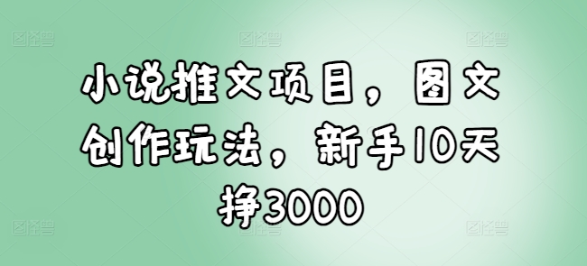 小说推文项目，图文创作玩法，新手10天挣3000_网创资源库