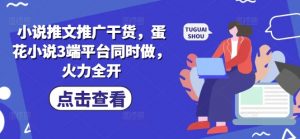 小说推文推广干货，蛋花小说3端平台同时做，火力全开_网创资源库