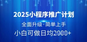 2025小程序推广计划，全面升级，简单上手，日均多张【揭秘】_网创资源库