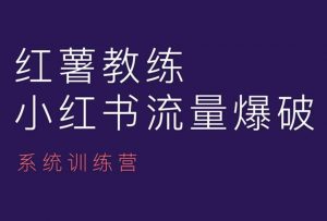 红薯教练-小红书内容运营课，小红书运营学习终点站_网创资源库