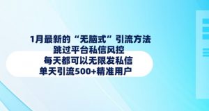 1月最新的无脑式引流方法，跳过平台私信风控，每天都可以无限发私信，单天引流500+精准用户_网创资源库