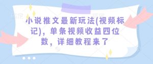 小说推文最新玩法(视频标记)，单条视频收益四位数，详细教程来了_网创资源库