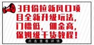 3月份拉新风口项目全新升级玩法，门槛低，佣金高，保姆级干货教程_网创资源库