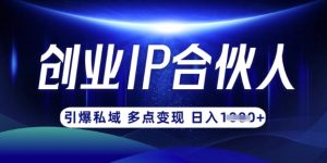 云帆·创业ip合伙人打造3.0，从0到1教你做网创，实现月入过W_网创资源库