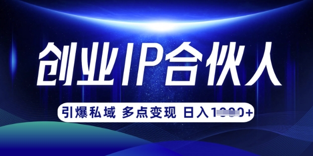 云帆·创业ip合伙人打造3.0，从0到1教你做网创，实现月入过W_网创资源库
