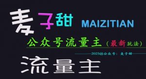 麦子甜2025公众号流量主全网最新玩法核心，手把手教学，成熟稳定，收益有保障_网创资源库
