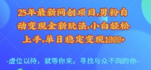 25年最新网创项目，男粉自动变现全新玩法，小白轻松上手，单日稳定变现多张【揭秘】_网创资源库