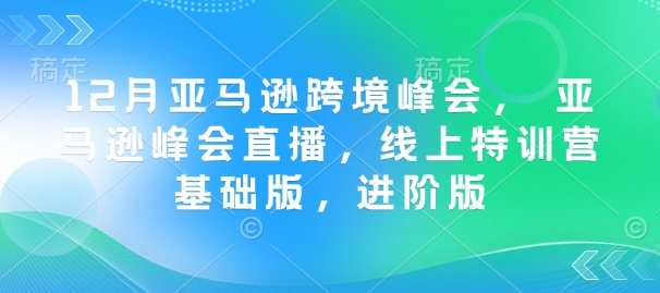 12月亚马逊跨境峰会， 亚马逊峰会直播，线上特训营基础版，进阶版_网创资源库
