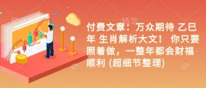付费文章：万众期待 乙巳年 生肖解析大文！ 你只要照着做，一整年都会财福顺利 (超细节整理)_网创资源库