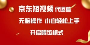 京东短视频代运营，全程喂饭，小白轻松上手【揭秘】_网创资源库