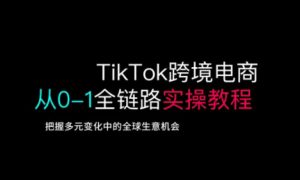 TikTok跨境电商从0-1全链路全方位实操教程，把握多元变化中的全球生意机会_网创资源库