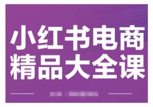 小红书电商精品大全课，快速掌握小红书运营技巧，实现精准引流与爆单目标，轻松玩转小红书电商_网创资源库
