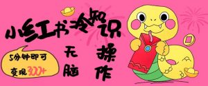 小红书冷知识账号，无脑复制粘贴，5分钟即可变现3张_网创资源库