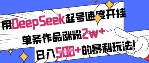 用DeepSeek起号速度开挂，单条作品涨粉2w+，日入5张+的暴利玩法_网创资源库