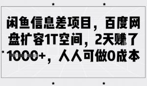 闲鱼信息差项目，百度网盘扩容1T空间，2天收益1k+，人人可做0成本_网创资源库