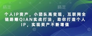 个人IP资产，小团队高变现，互联网全链路赚QIAN实战打法，助你打造个人IP，实现资产不断增值_网创资源库
