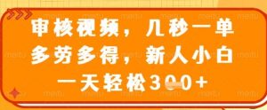审核视频，几秒一单，多劳多得，新人小白一天轻松3张【揭秘】_网创资源库