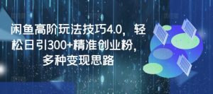 闲鱼高阶玩法技巧4.0，轻松日引300+精准创业粉，多种变现思路_网创资源库