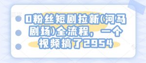 0粉丝短剧拉新(河马剧场)全流程，一个视频搞了2954_网创资源库