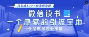 微信读书，一个隐藏的引流宝地，不为人知的小众打法，日引流300+精准创业粉，长尾流量源源不断_网创资源库