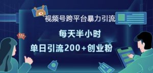 视频号跨平台暴力引流，每天半小时，单日引流200+精准创业粉_网创资源库